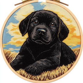 DIY Punch Needle Kits for Beginners Black Labrador Puppy Dog with Hoop Embroidery Punch Needle Starter Craft Set Easy for Adults and Children Festival Gift and Decoration 20x20cm-1