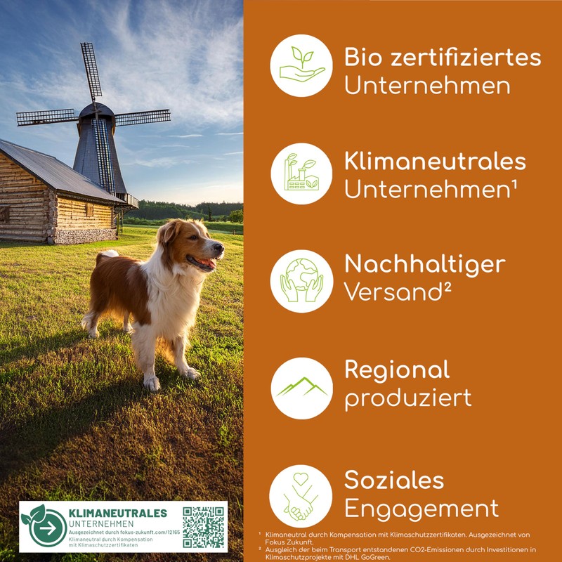 Wolfsbacher Joint Tablets for Dogs as Snack | Joints &