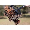 Stab-A-Nut Pine Cone & Magnolia Cone Picker Upper - Bag-A-Nut
