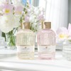 Lawrence Shining Through Body Cool Jelette Le Schelllate (Gel Body