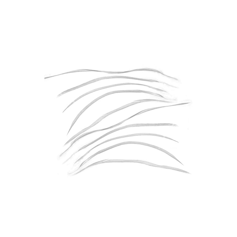 eMagTech 10PCS White Goose Biot Feathers 20-25cm For Millinery Crafts