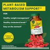 MegaFood MegaFood Berberine Phytosome - Berberine Supplement 550 mg Per