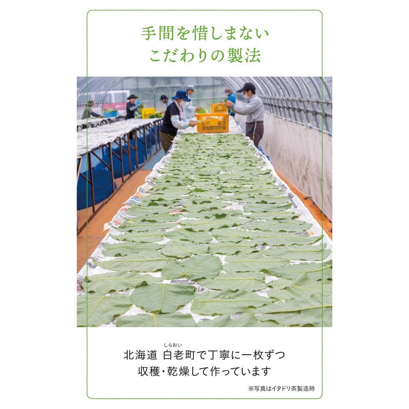 Natural Island Mori no Chaya Ent Tea 0.9 oz (24