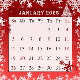 2025 CD-Style Desk Calendar 12 Months Calendar/Planner/Desk Calendar With CD Case Stand, Office Decor, Christmas Gifts (Edition #026)