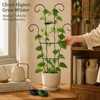 LXCSYXJ Small Trellis for Potted Plants,Trellis for Climbing Plants Outdoor