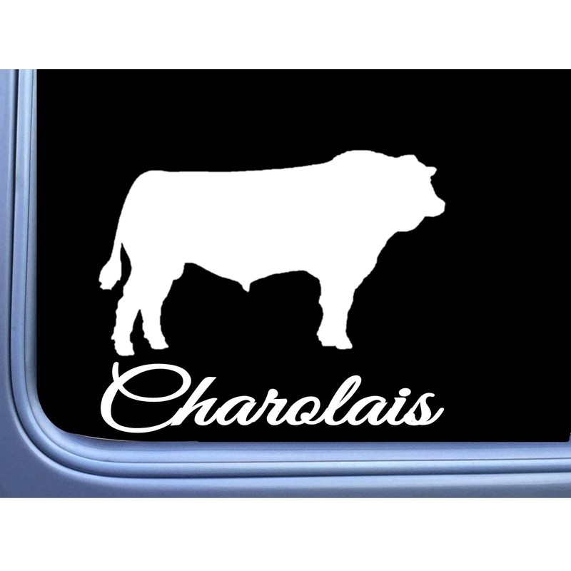 Charolais Bull Decal 6" Sticker OS 281 cattle cow beef