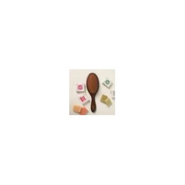 Opichina Natturae Hair Care Product Mini Set for daily shower and hair routines, Korean beauty hair care item, Opichina Natturae Import, and Personal, Option 2