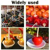 1000 Pack 5.5 Inch Candy Apple Sticks, 6 mm Thick