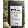 Pranature Melena De León Polvo Puro 100g
