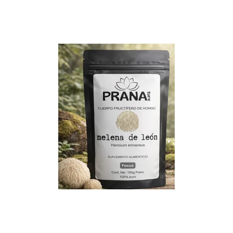 Pranature Melena De León Polvo Puro 100g