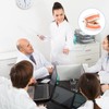 Dental Model 2 Pieces Children's Teeth Model Dental Care Model