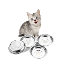 VENTION Small Shallow Cat Food Bowls, Outer Dia. 6.6 in Whisker Fatigue Cat Bowl, Stainless Steel Cat Food Dish for Indoor Cats, Set of 4 Replacement Cat Bowls for Raised Station(15.2 Fl.oz)