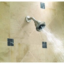 Delta RP54752 Traditional Water-Efficient Showerhead, Chrome