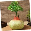 Gatuida Fruit Shaped Ceramic Vase for Dining Table Hydroponic Plant
