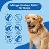 BestLife4Pets Demodectic Mange Relief for Dogs All Natural Healthy Coat