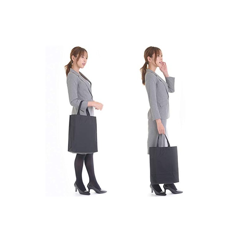 Aurora Nylon Sub Bag, Large, Made in Japan, A4 File
