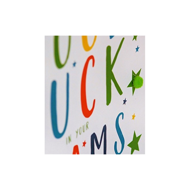 Pom Pom "Good Luck In Your Exams Greeting Card