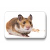 Hamsters/Dwarf Hamsters/Syrian Hamsters – 6 Rectangular Memo Board/Pinboard White Board