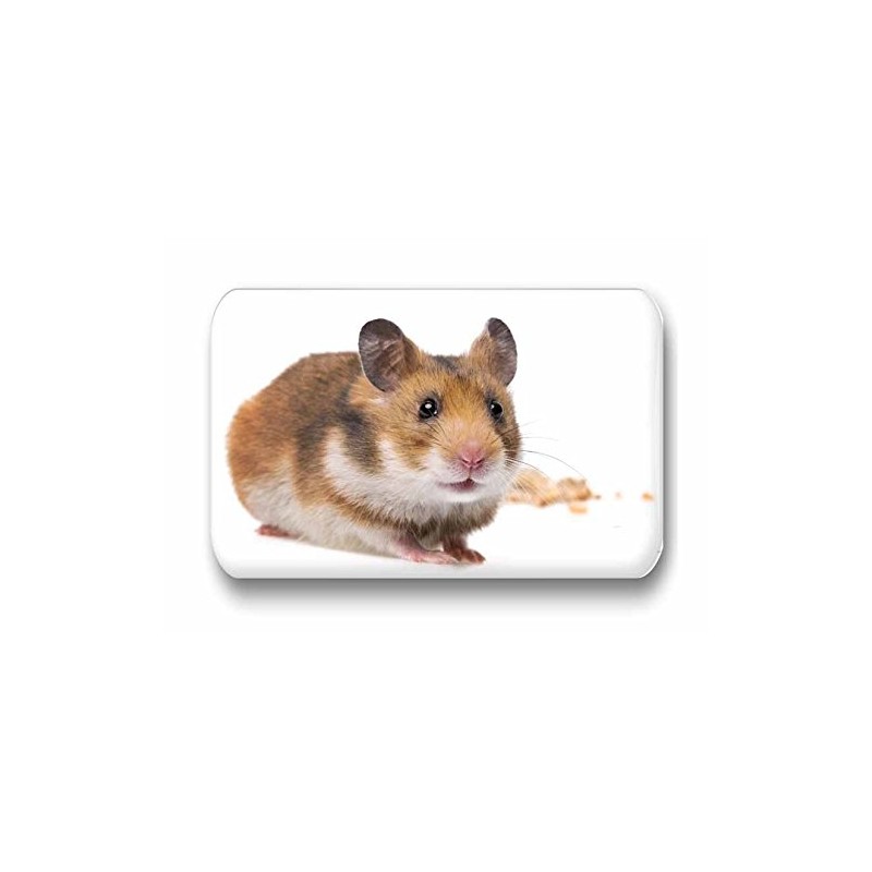 Hamsters/Dwarf Hamsters/Syrian Hamsters – 6 Rectangular Memo Board/Pinboard White Board