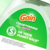 Gain Rinse and Renew Fabric Softener 48 Fl Oz Odor