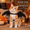 Black Bat Wings Pet Costume for Cats & Dogs –