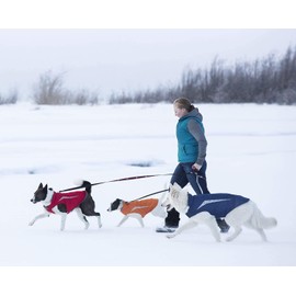 RC Pet Products Cascade Dog Coat, Essential All Weather Dog Jacket, Size 12, Arctic Blue