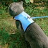 BINGPET 猫 ハーネス 抜けない リード ペット 猫用 散歩 猫リード ペット服