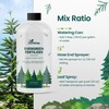32oz Evergreen Fertilizer - Makes 32 Gallons of Evergreen Tree