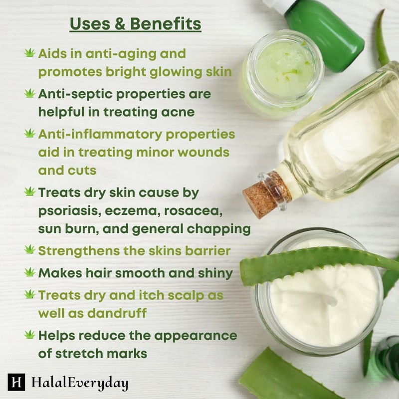 SAAQIN Aloe Vera Butter – 16 Oz