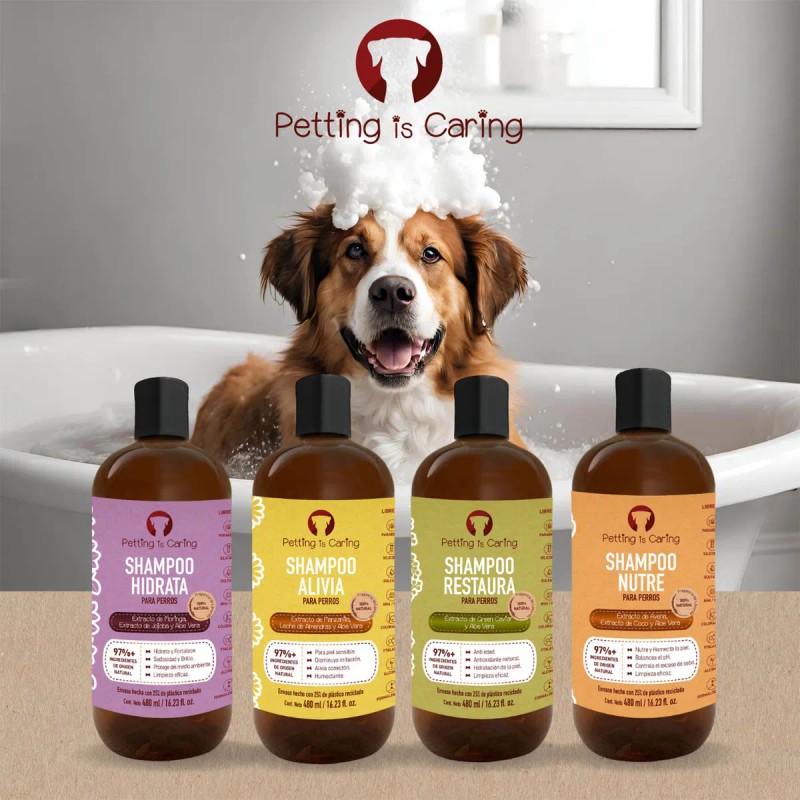 Shampoo Natural Perros Gato 480ml - Champú 97% Ingredientes