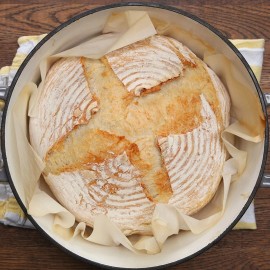 Heritage Sour SOURDOUGH STARTER DEHYDRATED ORGANIC SOUR EAST TENNESSEE - 15 Gram Bag