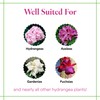 Grow More Hydrangea Blueing Formula - 2lbs of USA-Made Soil