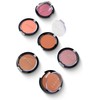 Set/Kit Rubor Blush en Polvo Para Rostro Bissú Nuevo (6