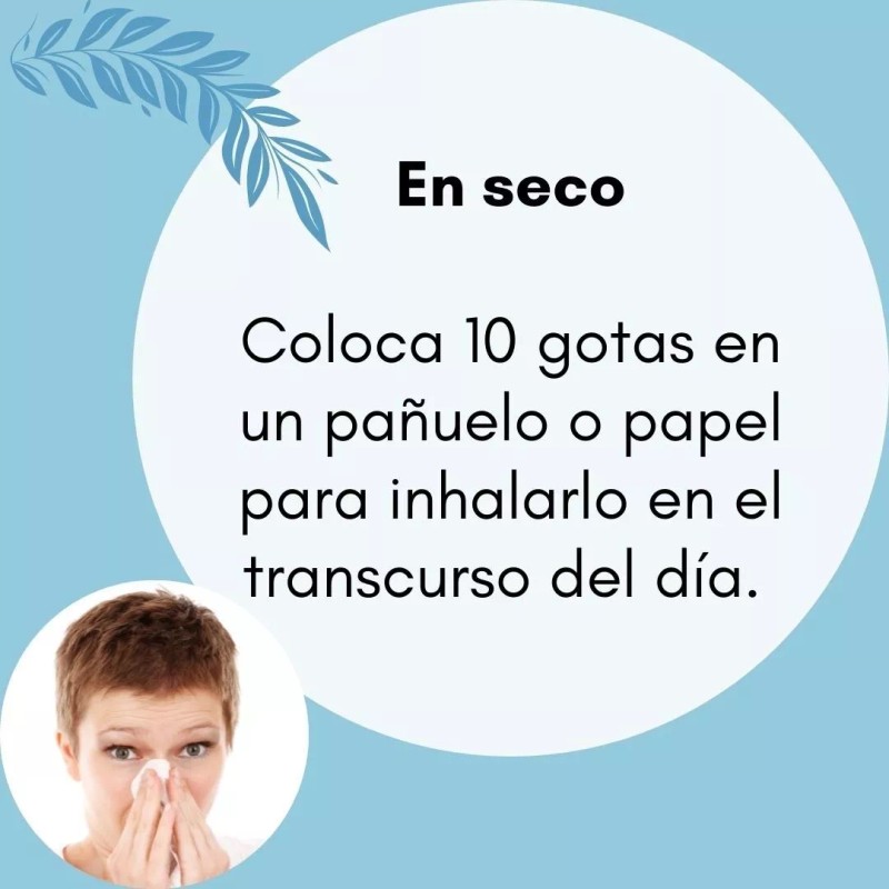 Natturall Aceite Esencial Difusor Aromaterapia Lavanda Menta Eucalipto