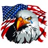 American Flag Eagle Crying Decal 5" from The United States
