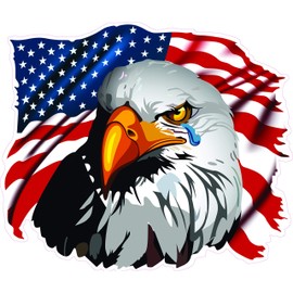 American Flag Eagle Crying Decal 5" from The United States