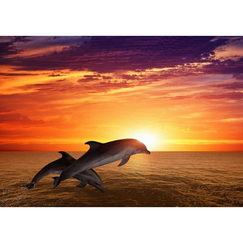 Lais Puzzle Jumping Dolphins 1000 Pieces