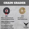 Falcon Cargo 1/2" X 10' Grade 80 Transport Binder Chain
