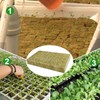 Nuyoah Rock Wool Cultivation Cubes Hydroponics Rockwool Cube Rockwool Cube