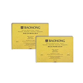 BAOHONG Artists' Watercolor Painting Block, Pack of 2, 40 Sheets 100% Cotton, Acid-Free, 140LB/300GSM, Cold Press Textured, Ideal for Watercolor Techniques (2 of 10.2"x7" Rough Grain Blocks)
