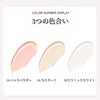 LIANGNISHI Tri-Color Concealer, Matte, Strong Facial Concealer, Long Lasting, Waterproof,