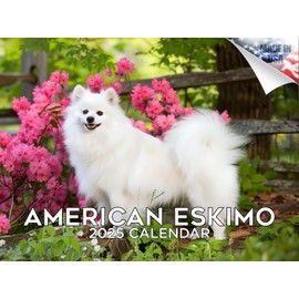 2024 2025 American Eskimo Calendar - Dog Breed Monthly Wall Calendar - 12 x 18 Open - Thick No-Bleed Paper - Giftable - Academic Teacher's Planner Calendar Organizing & Planning - Made in USA
