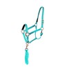 Majestic Ally HeadCollar Halter with Matching Lead Rope for Horses–Adjustable