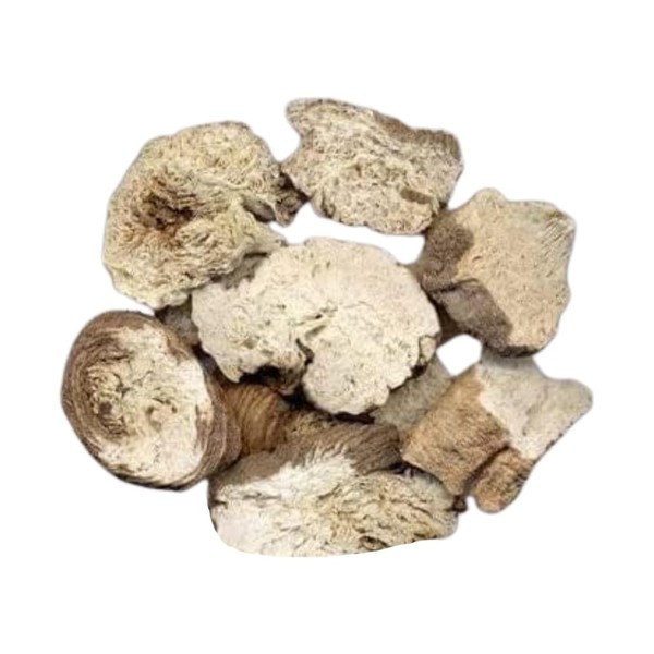 Plum Dragon Glehnia Root | Nan Sha Shen Chinese Herb