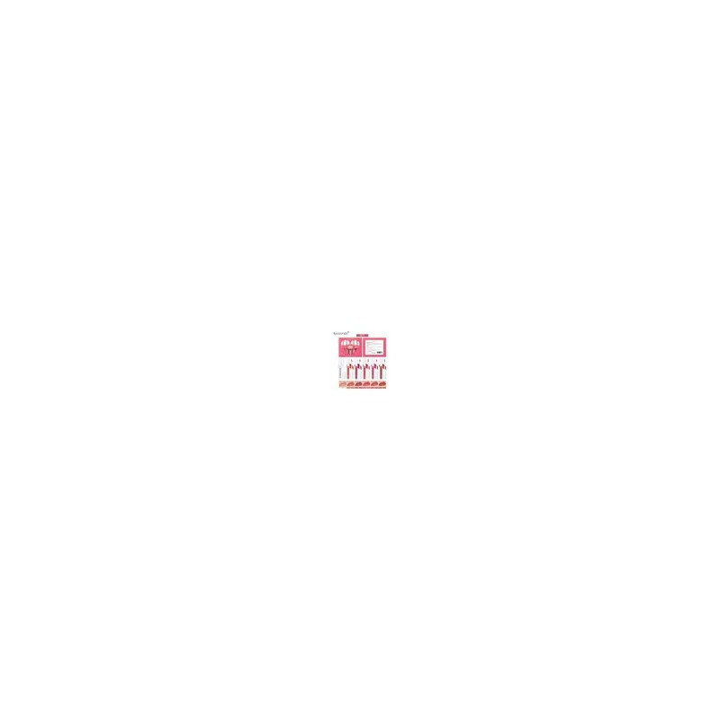 Set De Pintalabios Transparentes Clear Lip Gloss Set 2,5 Ml