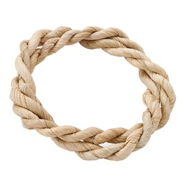 minimarurando Turing For Small Animals