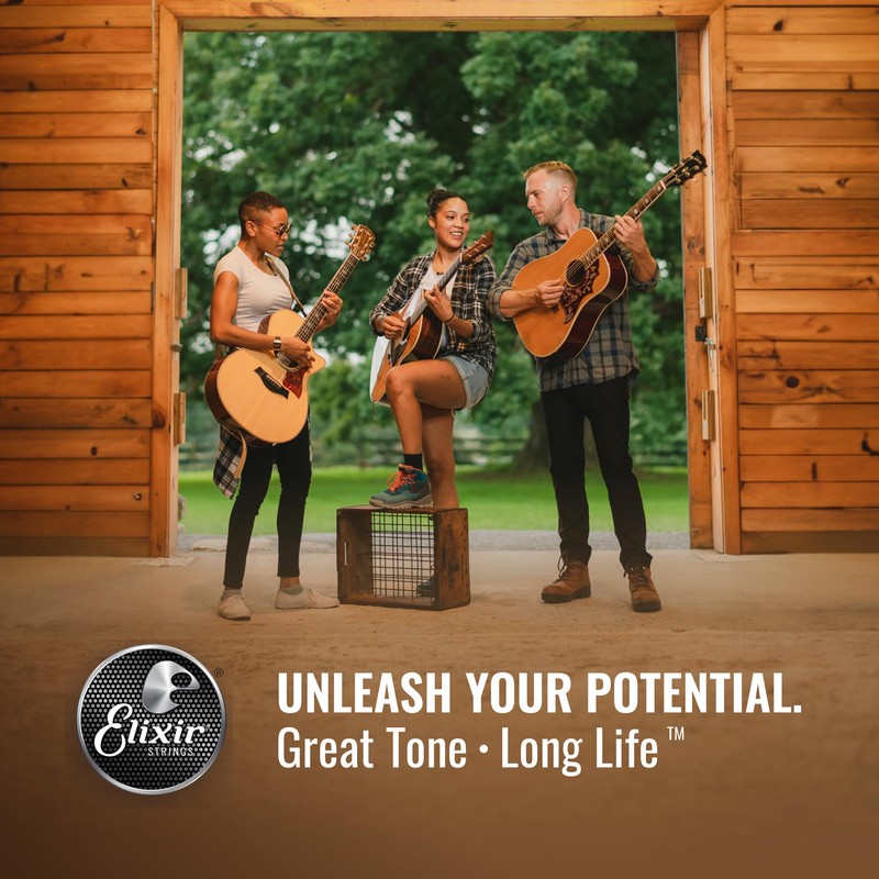 Elixir Strings, Acoustic Guitar Strings, Phosphor Bronze with NANOWEB Coating,