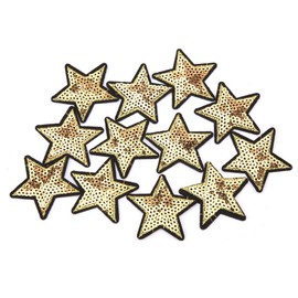 12 UNIDS Parches de Tela Bolsa de Coser Ropa DIY Lentejuelas Patrón de Estrella Reparación Ropa Apliques Accesorios Bordado