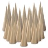 Paper Mache Craft Cones Variety Pack (Set of 24)