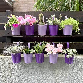 Macetas Colgantes Para Plantas - Paquete De 10, Macetas De Metal De 4 Pulgadas Para Plantas Con Drenaje, Jardineras De Cerca De Barandilla De Jardín De Balcón, Suculentas Pequeñas, macetas de flores